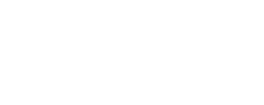 Logo Webflow